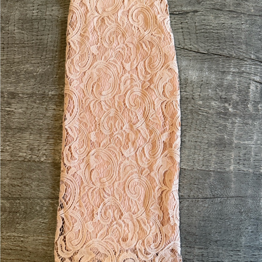 Adrianna Papell Nude/blush pink  Lace Overlay skirt